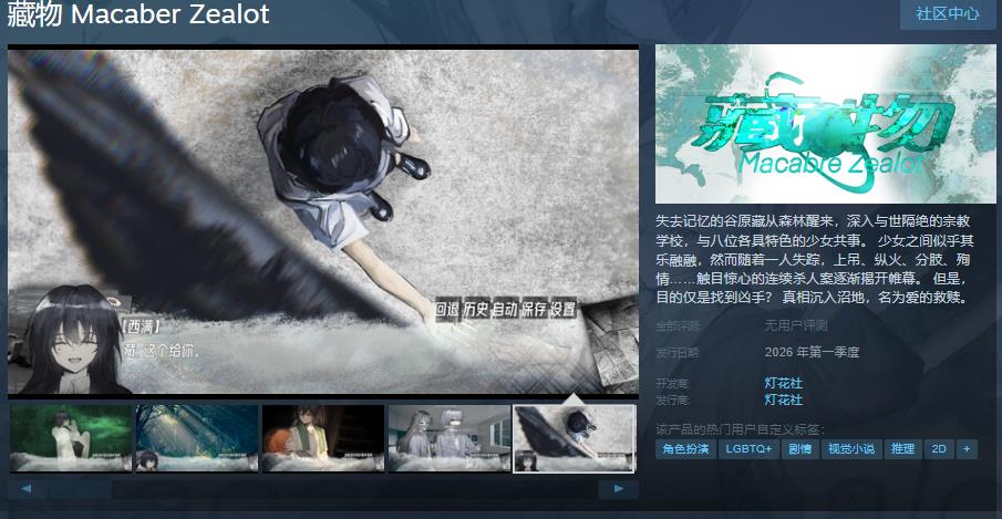 国产悬疑AVG《藏物》Steam页面曝光，2026年发售