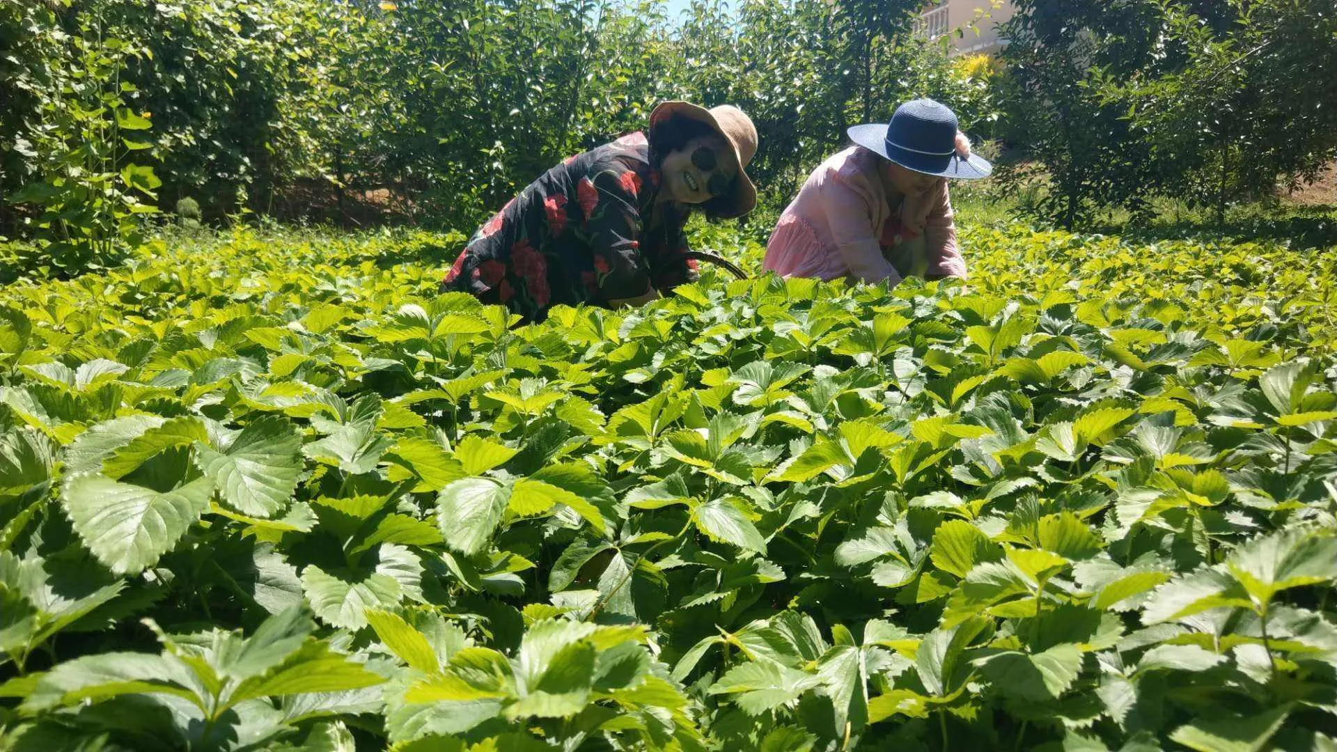 PS新作尝鲜！《宇宙机器人》实机试玩抢先体验