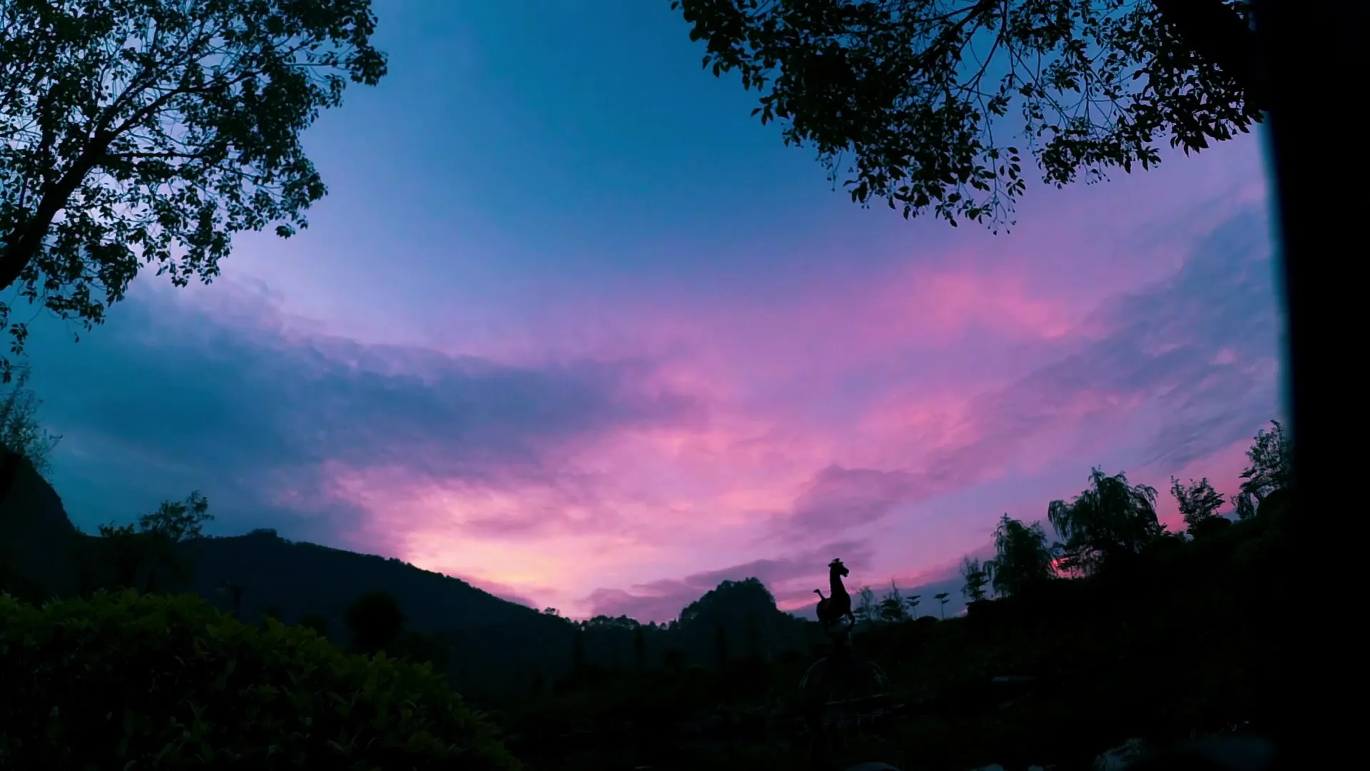 《黑神话：悟空》直播专区开启，发售倒计时！