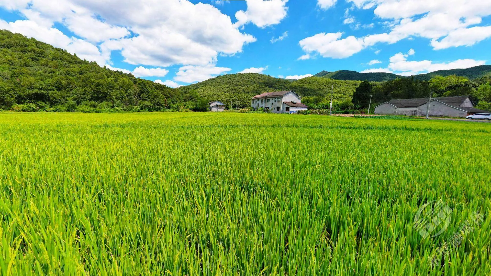 《黑神话：悟空》新预告曝光， liệu还有更大的驚喜？