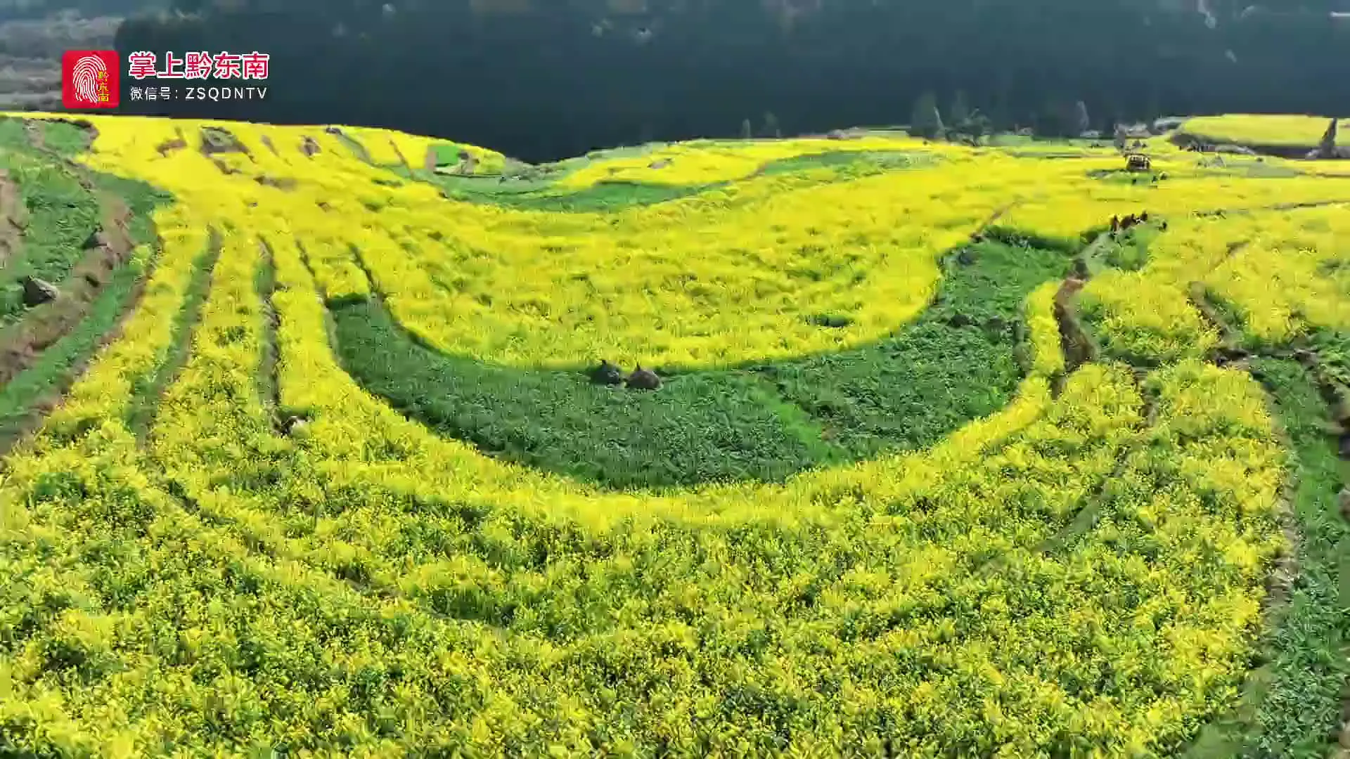 游戏周报：《黑神话：悟空》性能测试工具上线、冯骥呼吁玩家不要传播泄露片段