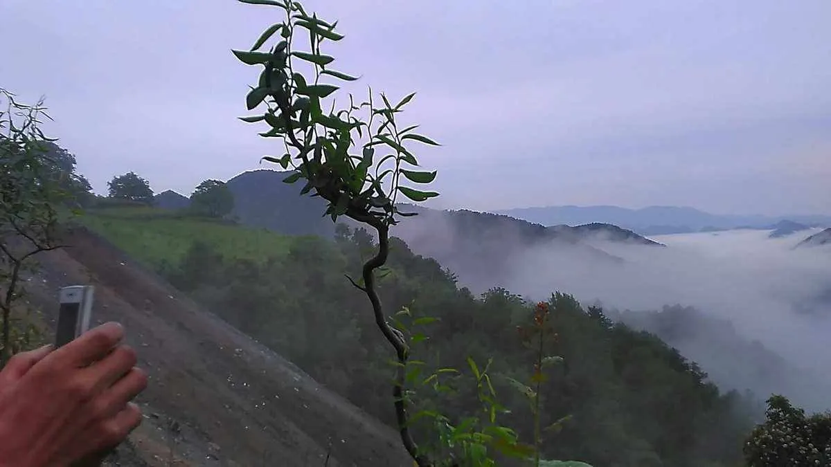 《黑神话：悟空》 відкрито預載！沒有好PC也能畅玩