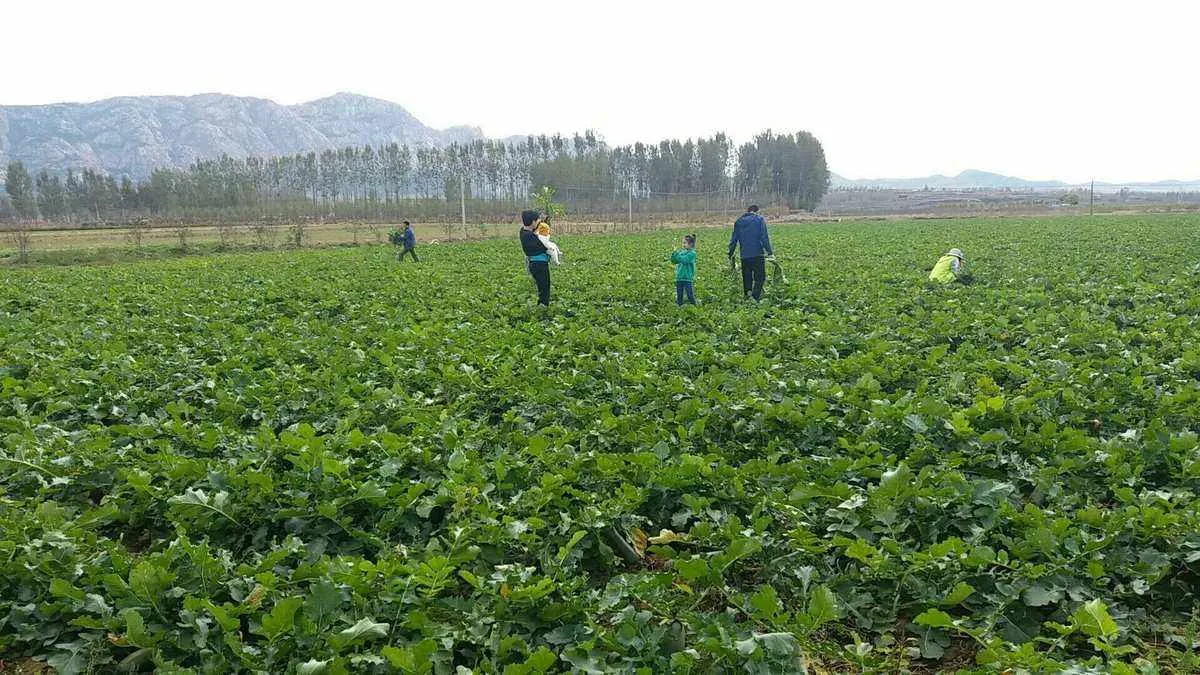 「黑神话」最强披挂套装排行榜！「大圣套」霸占榜首！