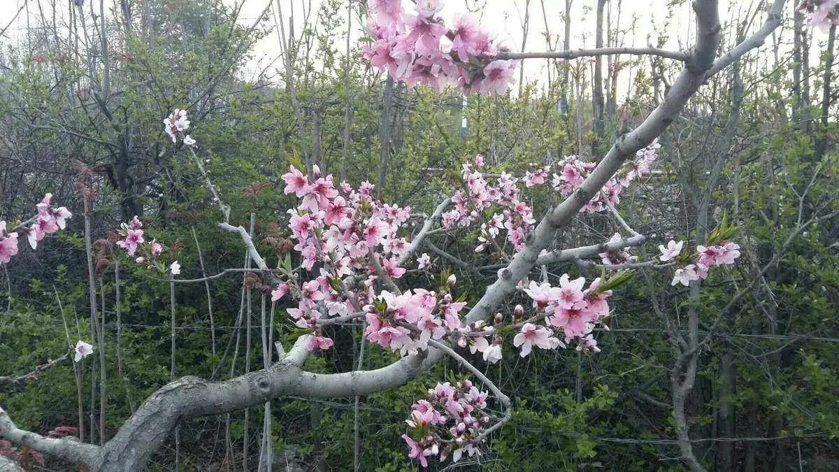 《无用之人》打造电子斗蛐蛐游戏新高度