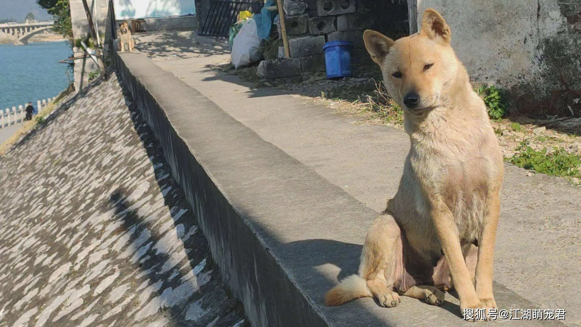 《怪物猎人：荒野》艺术风格获赞：生态变化细节丰富