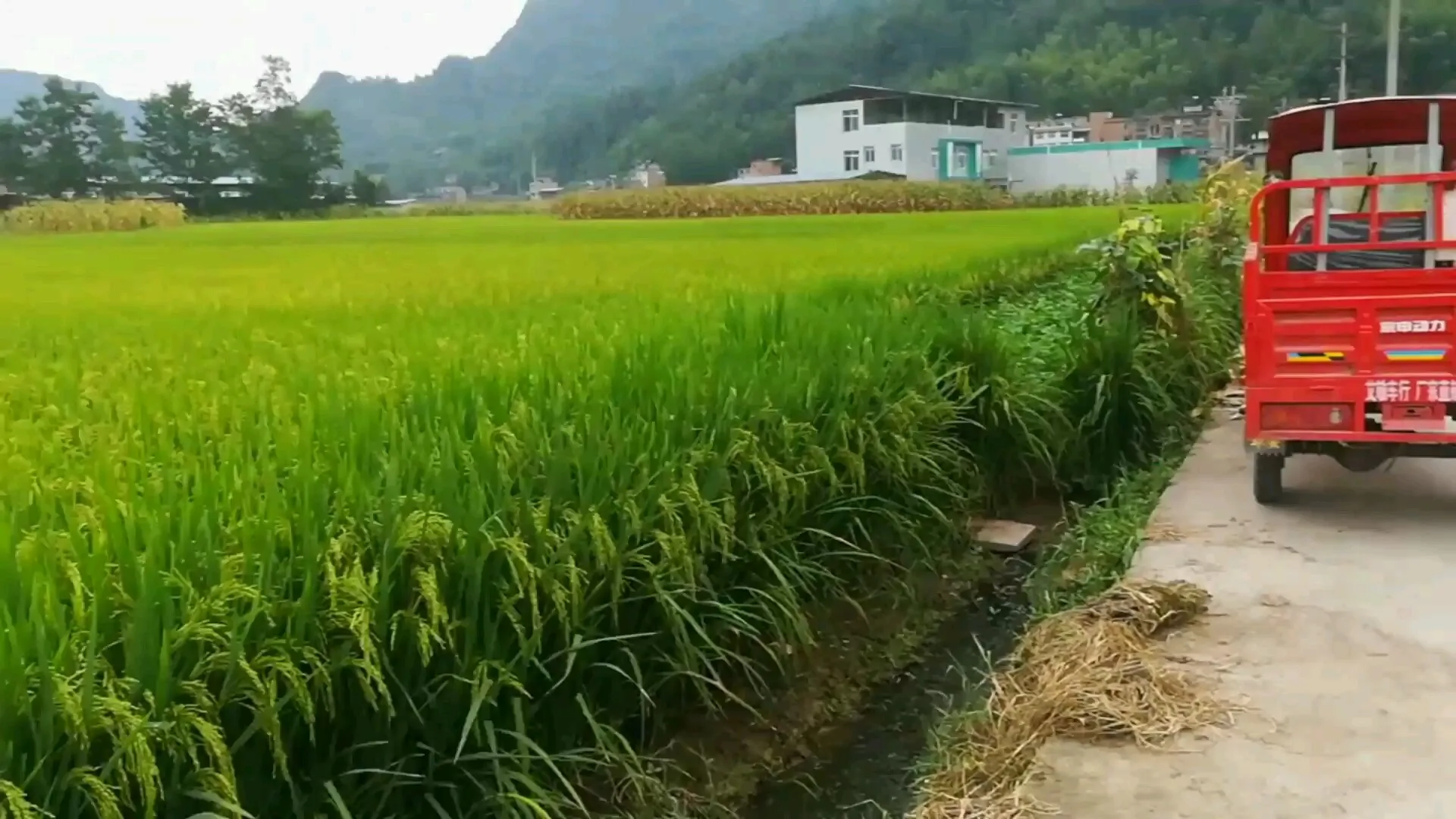 《黑神话悟空》两个月没更新正常吗？玩家热议