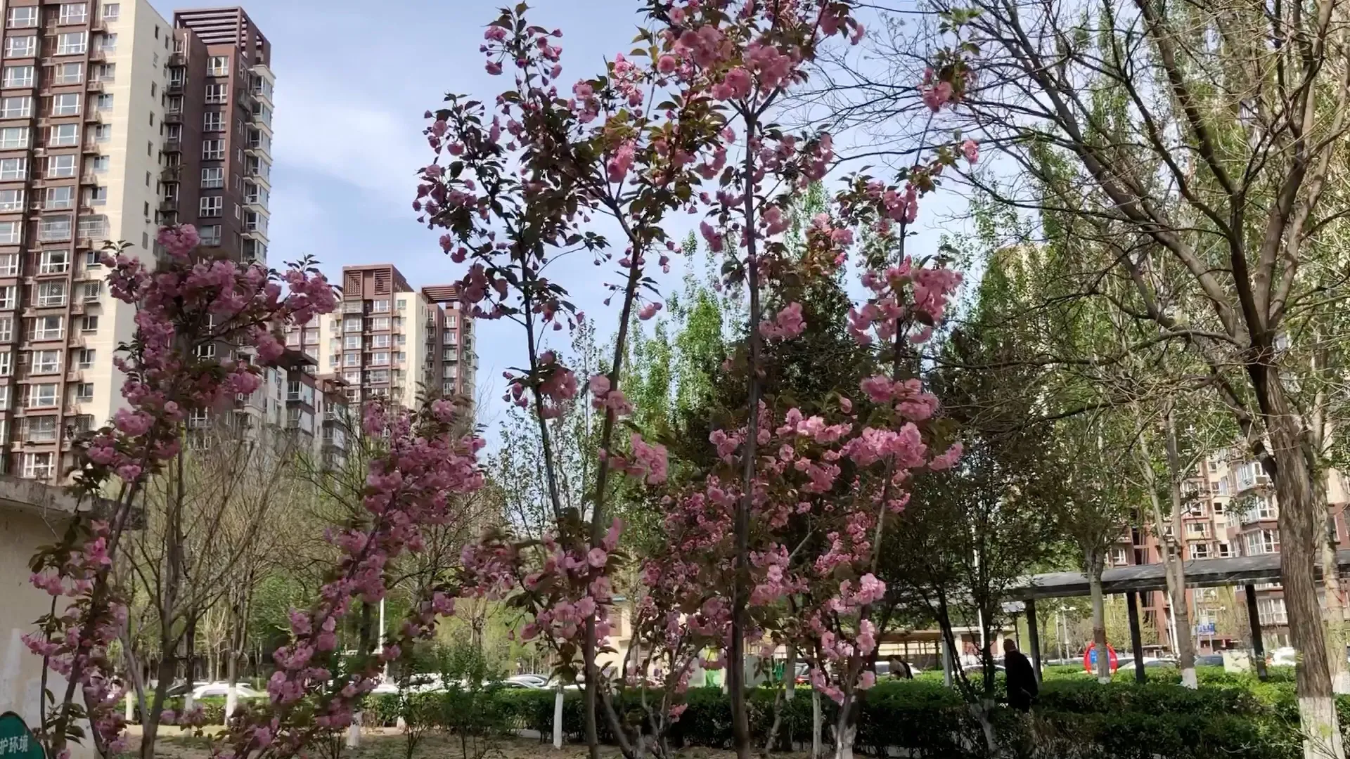 《天国拯救2》巫师彩蛋：杰洛特是你吗？玩家发现惊喜