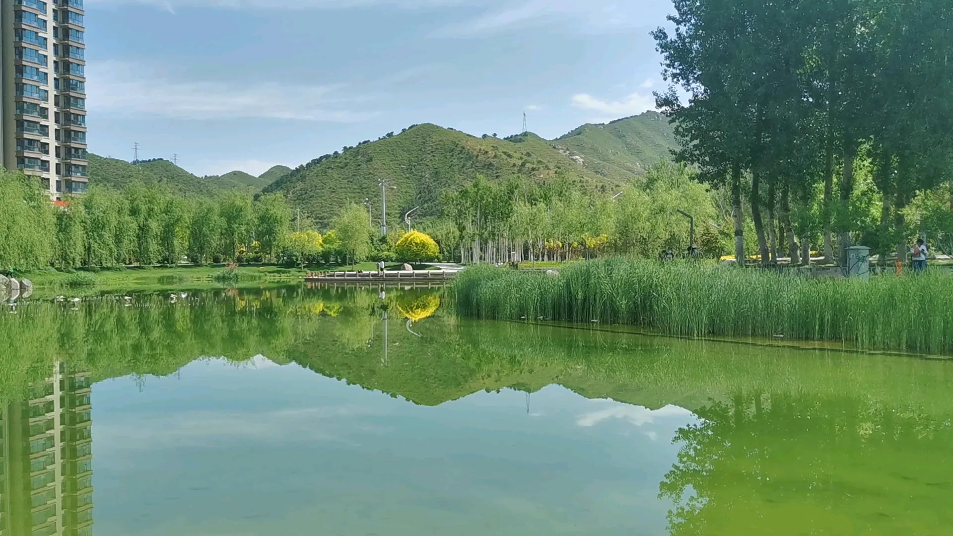 异度之刃X终极版评级新增"性"标签，为何引起如此热议？