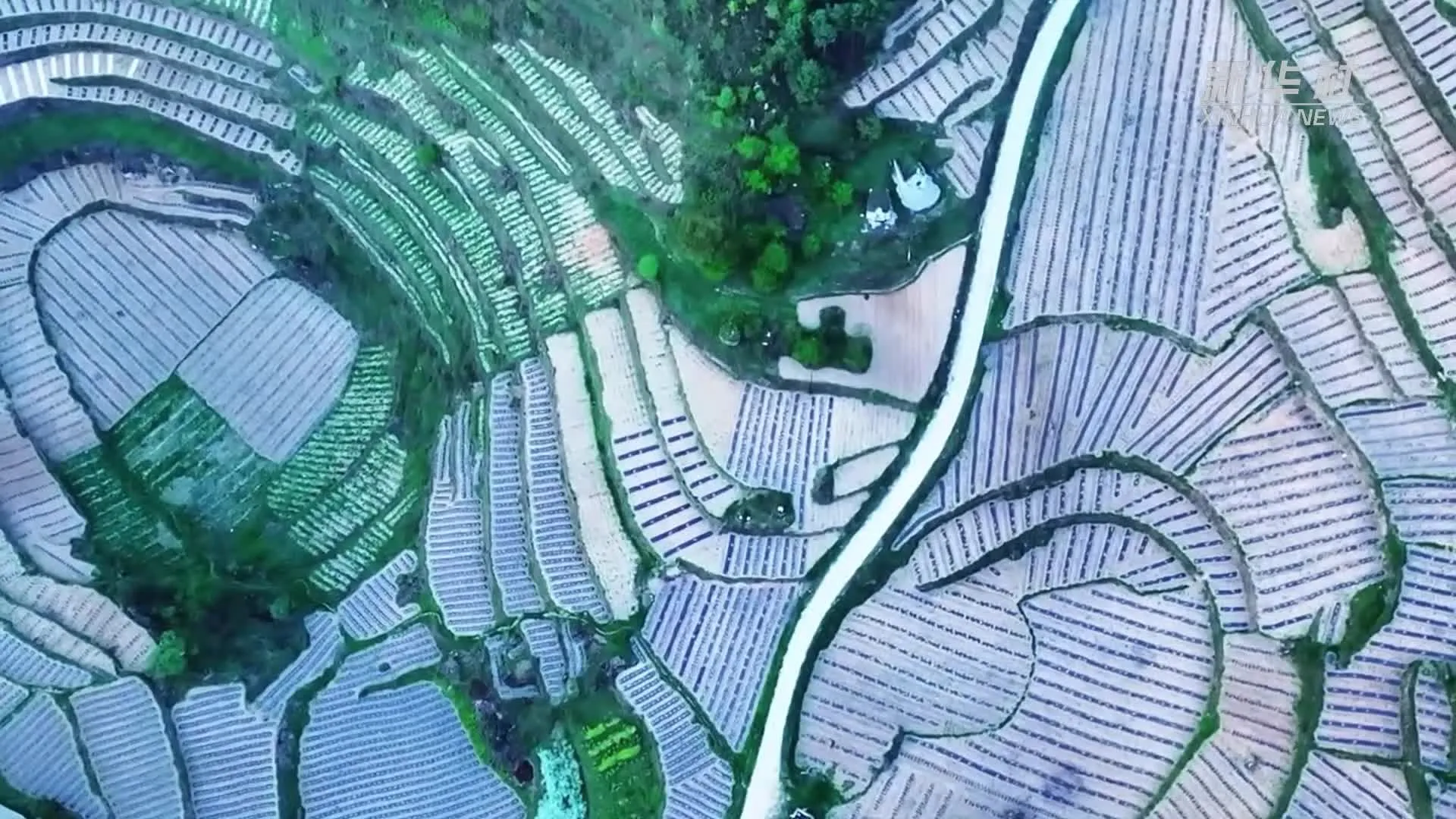 《异度神剑》开发商雄心勃勃：永不满足，持续追求更高品质
