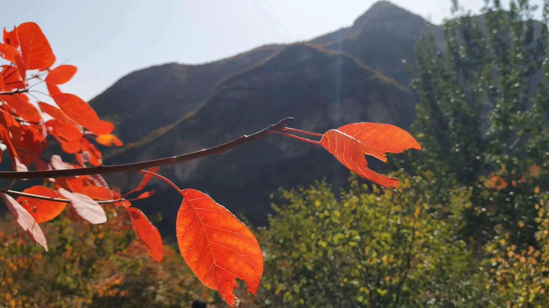 《刺客信条影岛》文化场景模拟度超高，游戏与现实难辨