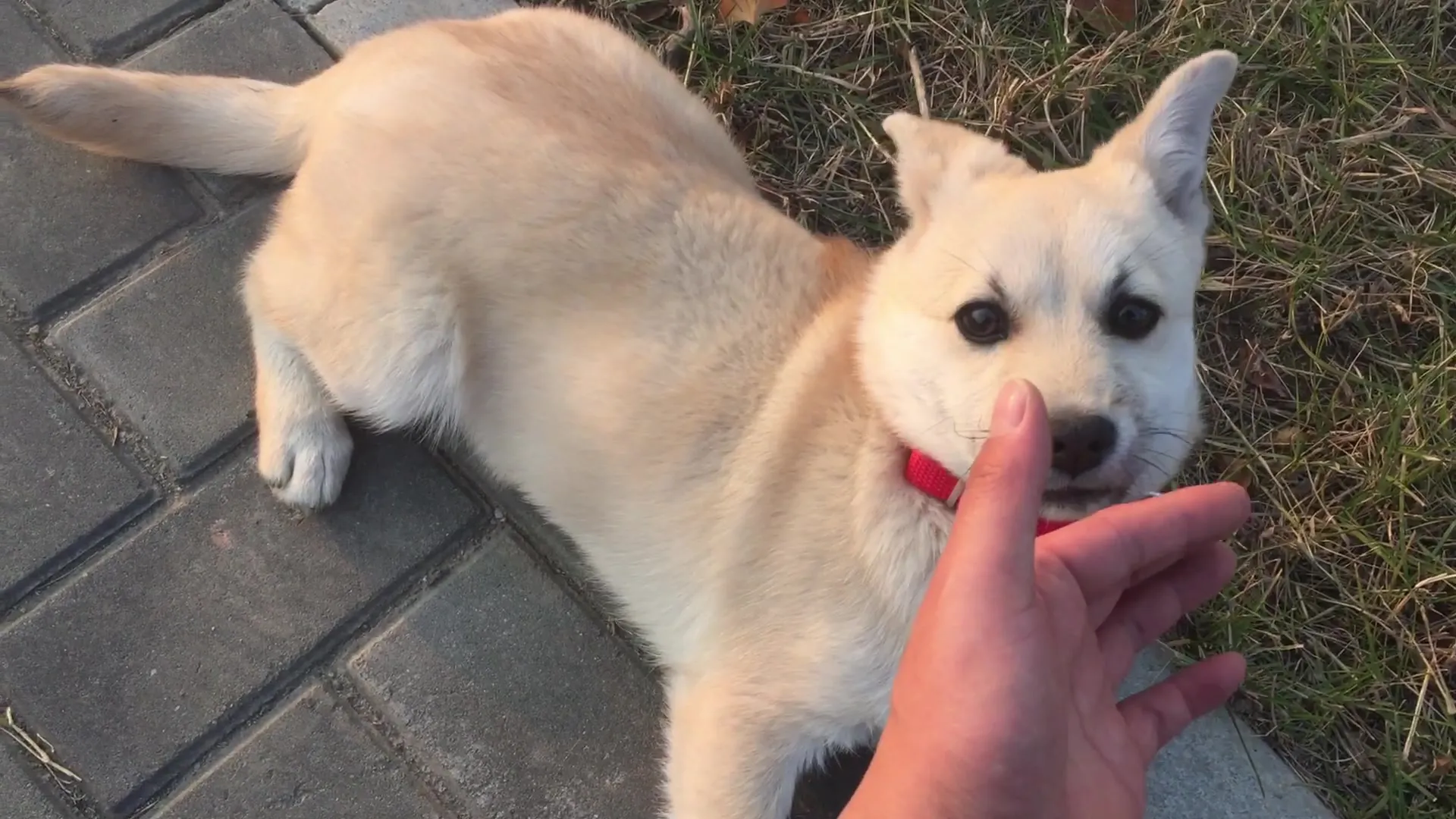 《最后的生还者3》开发热火朝天，舅舅党揭秘游戏剧情！