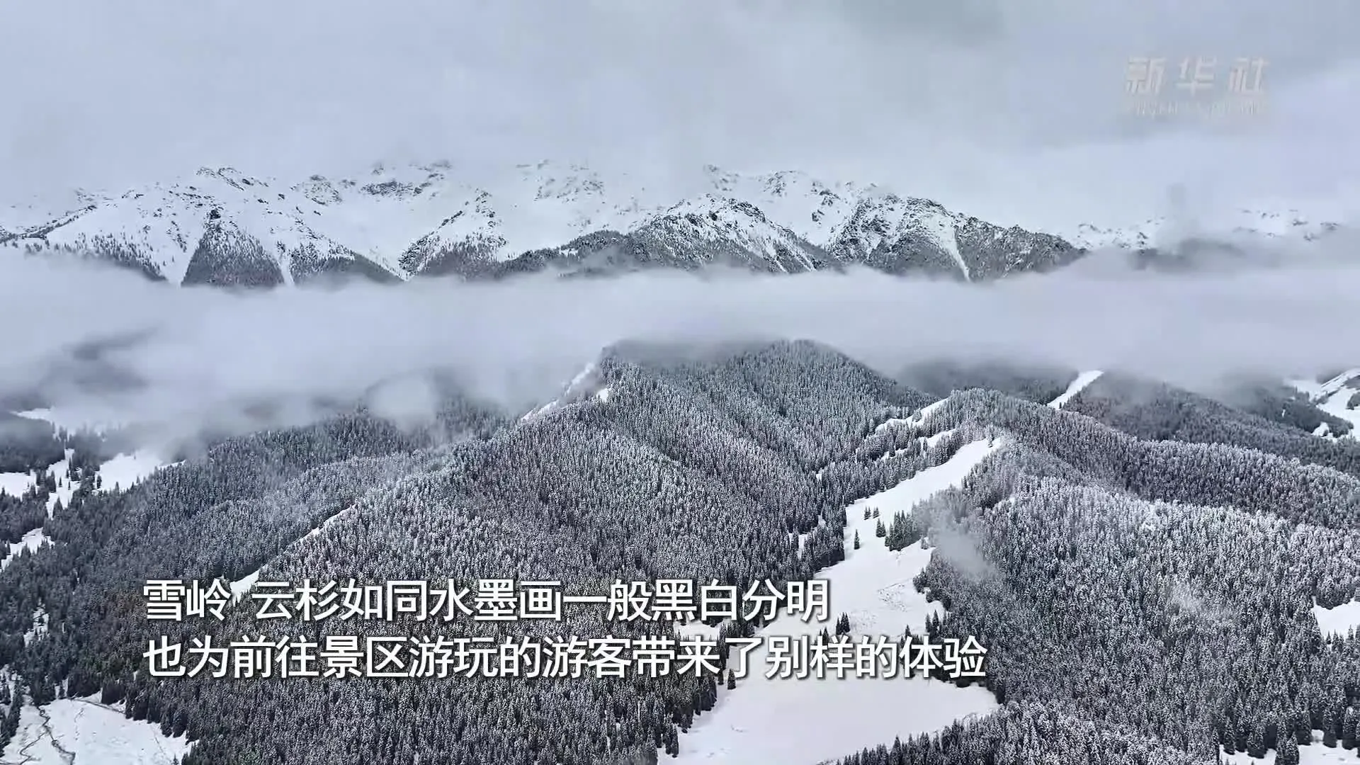 《鬼武者：剑之道》通关时长20小时的游戏体验