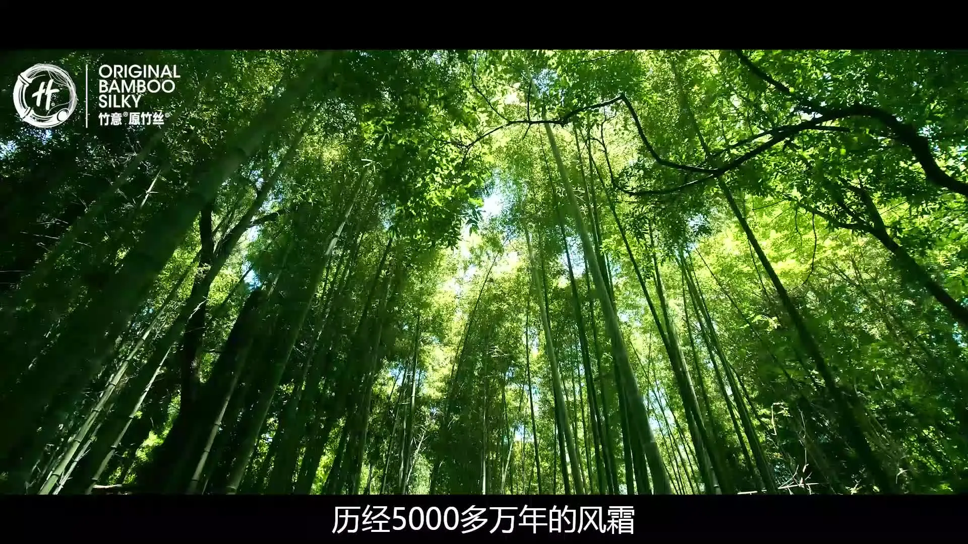 关于《晨报》文章内容来源声明